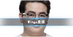 Wings真名曝光！英雄联盟王书凯的个人资料大揭秘